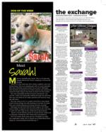 image of July 04, 2024 - number 42