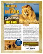 image of August 01, 2024 - number 41