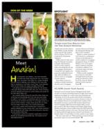 image of August 08, 2024 - number 40