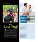 image of August 22, 2024 - number 44