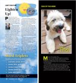 image of September 05, 2024 - number 39