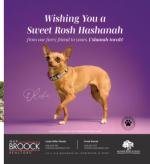 image of September 26, 2024 - number 61