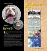 image of October 10, 2024 - number 47