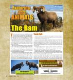 image of October 31, 2024 - number 58