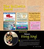 image of October 31, 2024 - number 60