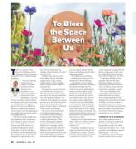 image of November 14, 2024 - number 39