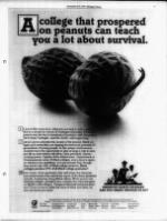 image of November 08, 1987 - number 7