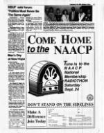 image of September 04, 1988 - number 9