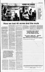 image of January 03, 1993 - number 8