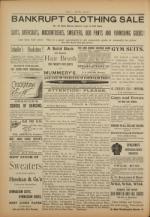 image of February 06, 1895 - number 4