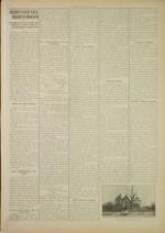 image of November 11, 1908 - number 3