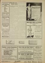 image of November 11, 1908 - number 5