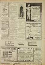 image of November 15, 1908 - number 3