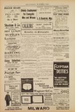 image of February 01, 1901 - number 4