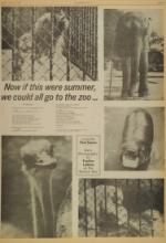 image of January 11, 1975 - number 5