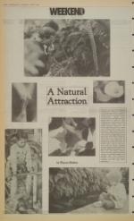 image of March 11, 1993 - number 14