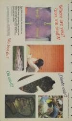 image of January 31, 2002 - number 20