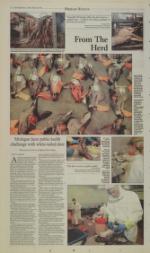 image of January 23, 2004 - number 10