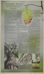 image of October 15, 2004 - number 8