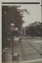 image of September 09, 2009 - number 8