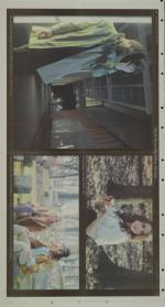 image of February 09, 2012 - number 12