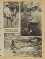 image of June 05, 1981 - number 31