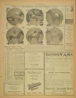 image of May 17, 1925 - number 11