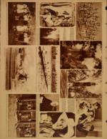 image of October 03, 1933 - number 10