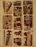 image of October 15, 1933 - number 8