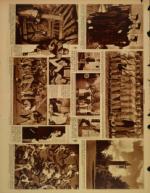 image of November 05, 1933 - number 10