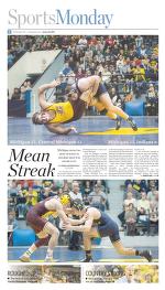 image of January 25, 2016 - number 7