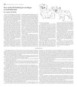 image of February 10, 2016 - number 13