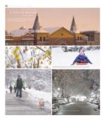 image of February 10, 2016 - number 15