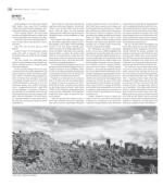 image of February 01, 2017 - number 13