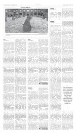 image of November 09, 2018 - number 3