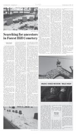 image of February 07, 2019 - number 11