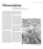 image of March 13, 2019 - number 11