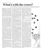 image of January 29, 2020 - number 13