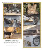 image of January 29, 2020 - number 15