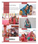 image of February 19, 2020 - number 15