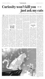 image of February 03, 2021 - number 13