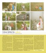 image of November 09, 2022 - number 14