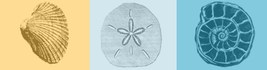 The Encyclopedia of Diderot & d'Alembert Collaborative Translation Project