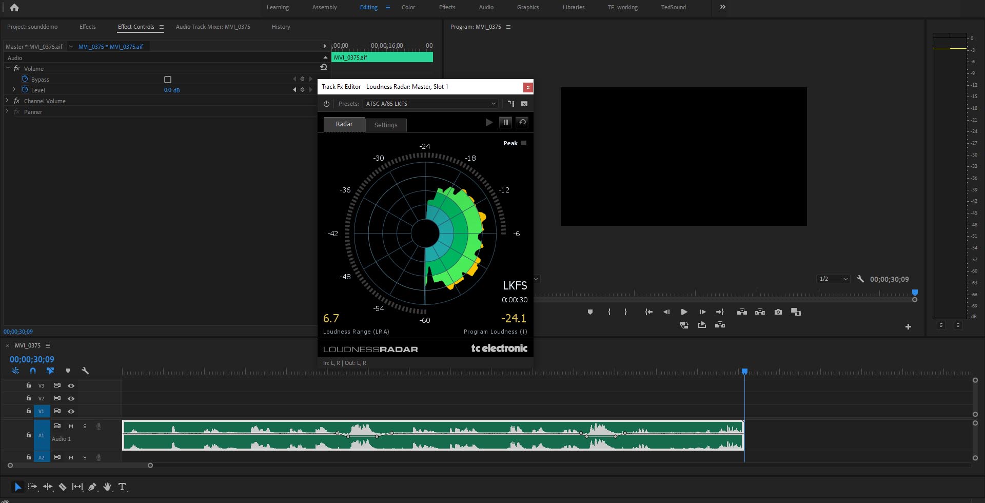 Figure 3. The Loudness Radar in Adobe Premiere.