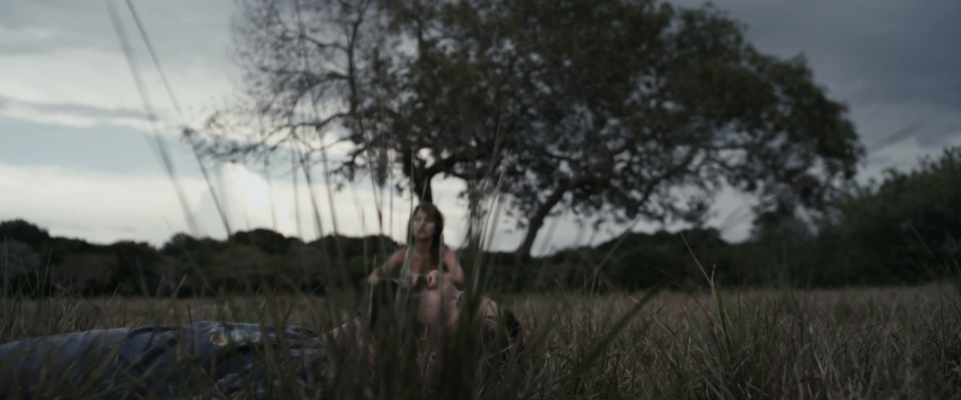 Figure 2. In the foreground, the grandson rests on unproductive land, while the granddaughter can be seen in the background in Tierra en la lengua (Día Fragma Fábrica de Películas, 2014). Unlike their grandfather, they will never take an interest in the ranch. Figure 2. In the foreground, the grandson rests on unproductive land, while the granddaughter can be seen in the background in Tierra en la lengua (Día Fragma Fábrica de Películas, 2014). Unlike their grandfather, they will never take an interest in the ranch.
