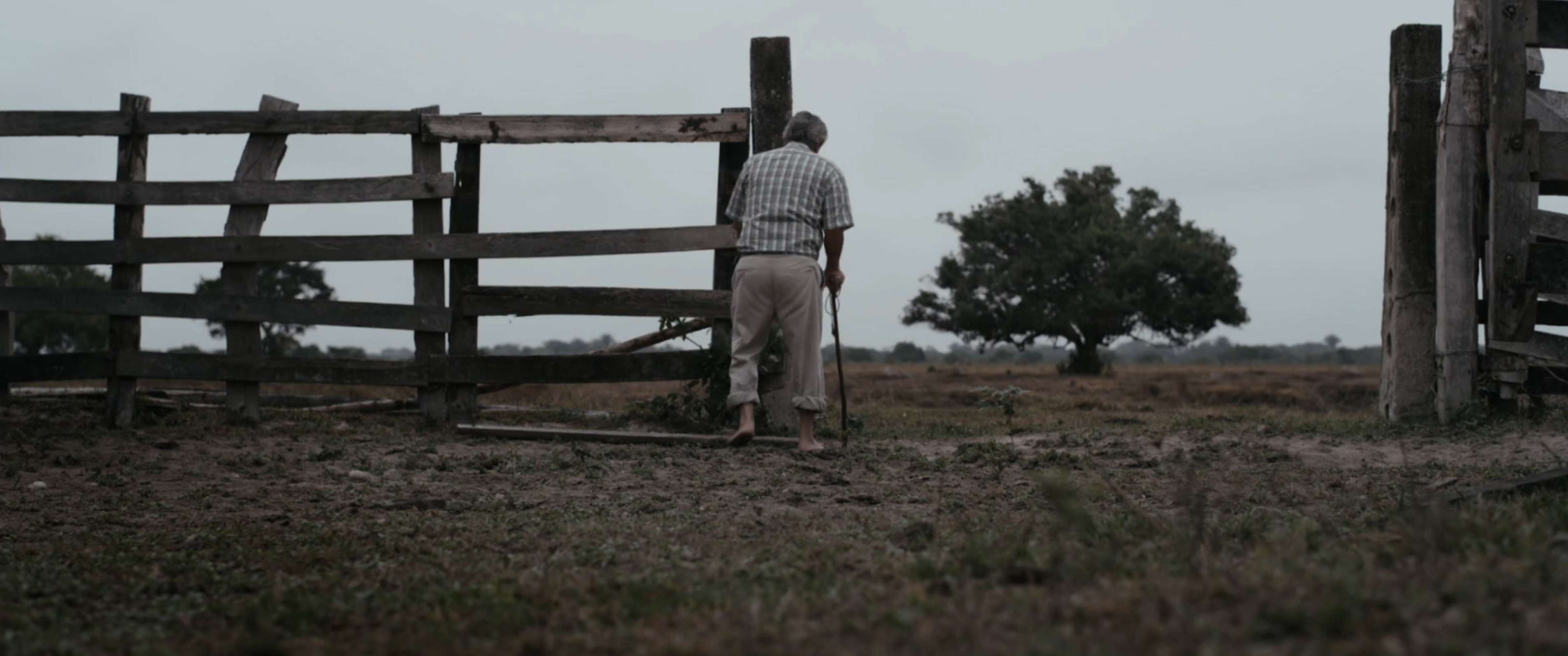 Figure 3. The grandfather walks barefoot across his ranch in Tierra en la lengua (Día Fragma Fábrica de Películas, 2014). We see both slowly meet their end, a process the grandchildren will make irreversible. Figure 3. The grandfather walks barefoot across his ranch in Tierra en la lengua (Día Fragma Fábrica de Películas, 2014). We see both slowly meet their end, a process the grandchildren will make irreversible.