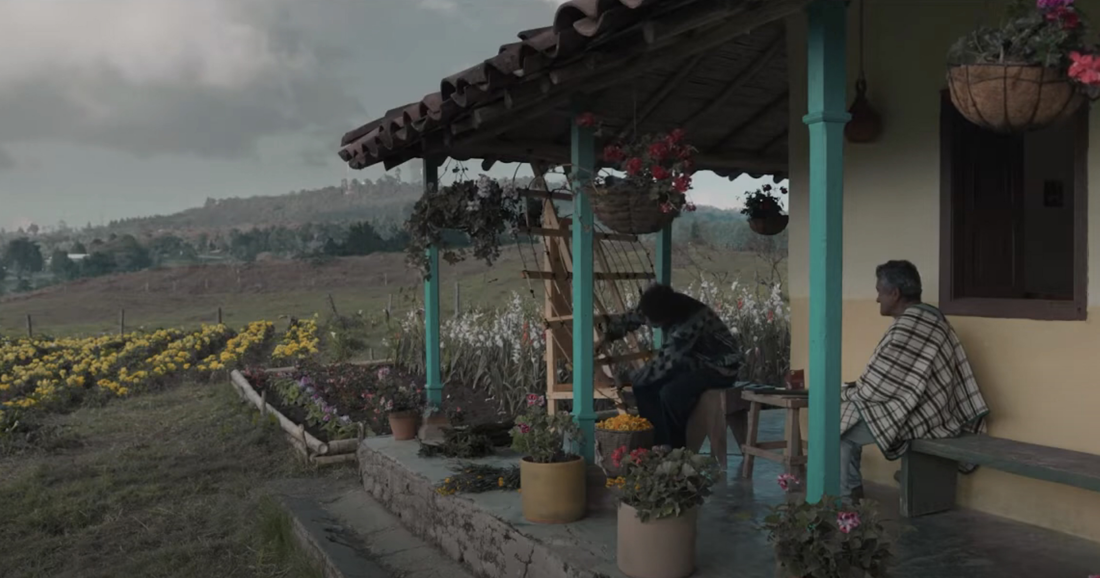 Figure 4. The grandfather and grandson working together in La ciudad de las fieras (Héroe Films, 2021). Fabián (Bryan Cordoba) is extremely attentive when learning the trade of a floriculturist. Figure 4. The grandfather and grandson working together in La ciudad de las fieras (Héroe Films, 2021). Fabián (Bryan Cordoba) is extremely attentive when learning the trade of a floriculturist.