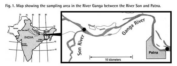 Река ганг на карте впр. Схема по водному ганджа.