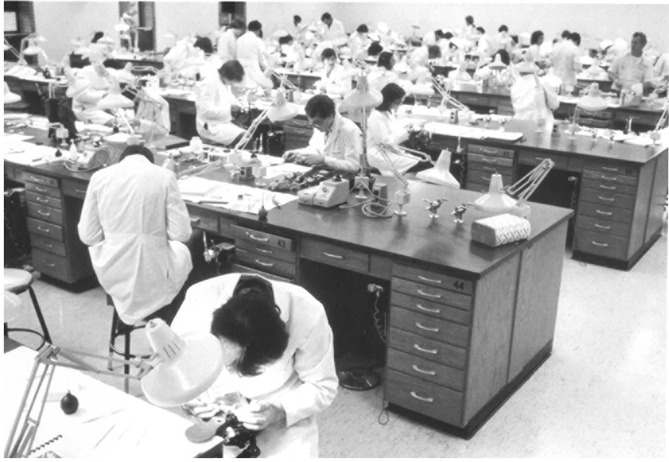 First year DDS students working in the preclinical lab. The entering class size was 96 students in 1986. First year DDS students working in the preclinical lab. The entering class size was 96 students in 1986.
