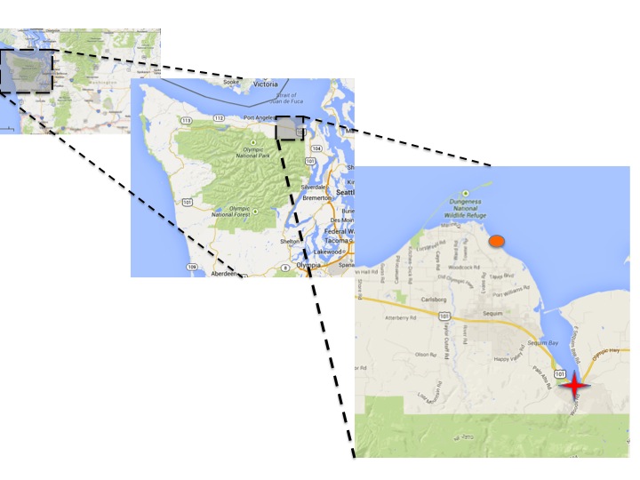 Figure 1. Map of the project area. From left to right are images of Washington State, the Olympic Peninsula, and the Jamestown S’Klallam Community. The orange oval is the Jamestown Beach area, and the red star is the main tribal campus area in Blyn, Washington. Images from Google Maps. Figure 1. Map of the project area. From left to right are images of Washington State, the Olympic Peninsula, and the Jamestown S’Klallam Community. The orange oval is the Jamestown Beach area, and the red star is the main tribal campus area in Blyn, Washington. Images from Google Maps.